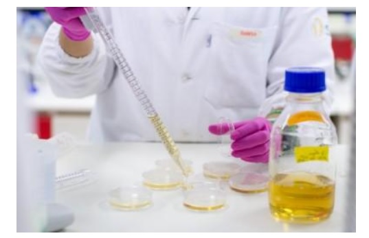 De premières preuves de l'activité des anticorps monoclonaux contre le paludisme (Visuel Fotolia) De premières preuves de l'activité des anticorps monoclonaux contre le paludisme (Visuel Fotolia)