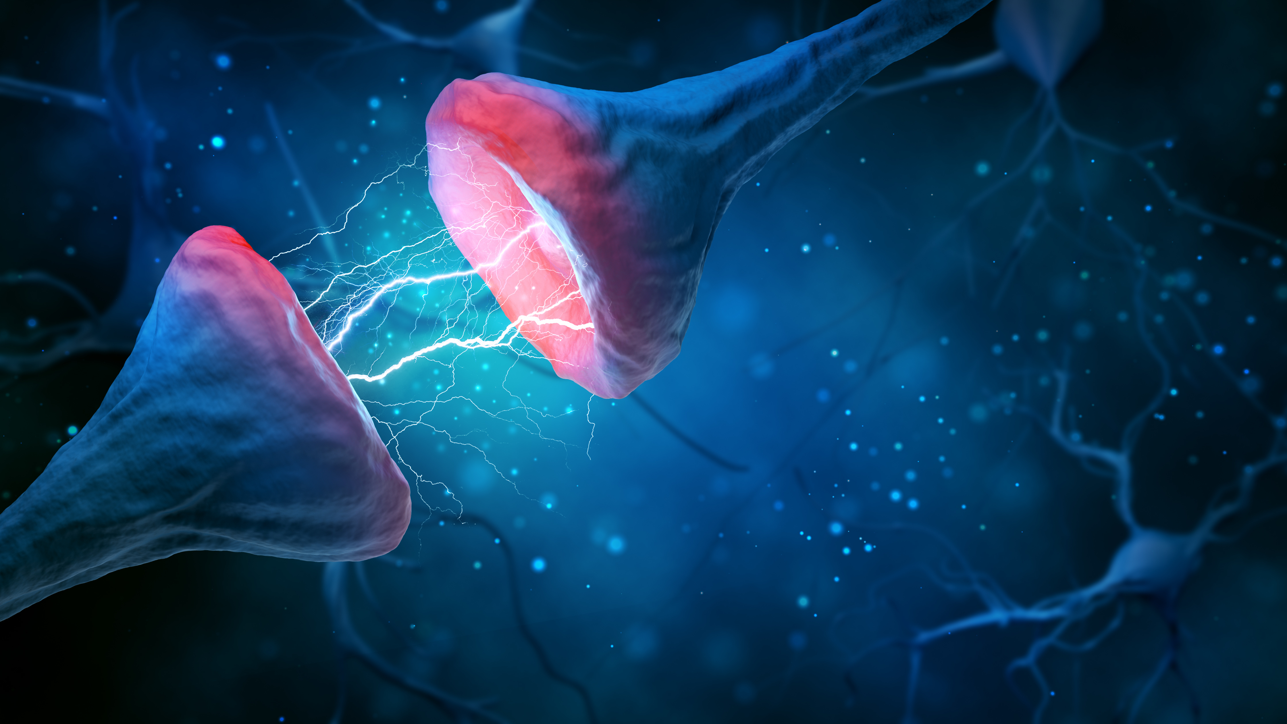 Une enzyme clé s’avère essentielle pour réparer les dommages à l'ADN des gènes impliqués dans la mémoire et la plasticité cérébrale (Visuel AdobeStock_287514101) Une enzyme clé s’avère essentielle pour réparer les dommages à l'ADN des gènes impliqués dans la mémoire et la plasticité cérébrale (Visuel AdobeStock_287514101)