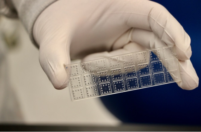 Ce test peut évaluer rapidement la capacité des anticorps à neutraliser simultanément les protéines de pointe de différentes variantes de COVID-19 (Visuel Duke University).