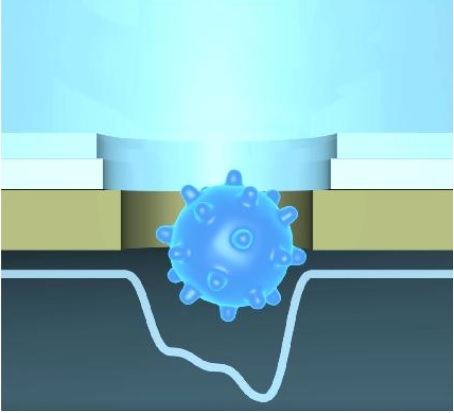 La nouvelle technologie permet d'identifier avec précision, grâce à l'apprentissage automatique, des particules virales uniques traversant un nanopore (Visuel Visuel Osaka University). 