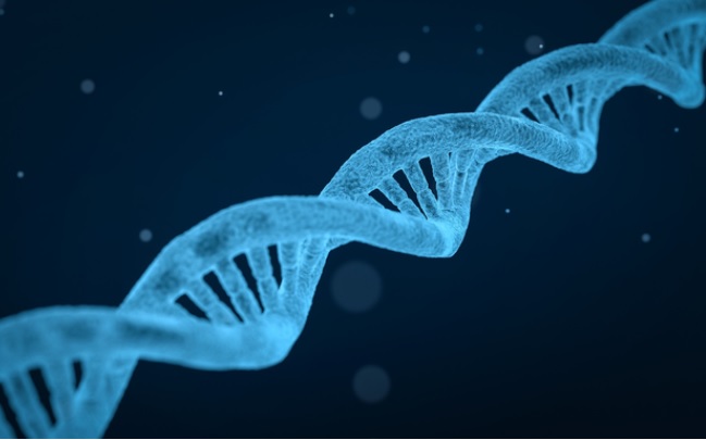 Ce test unique pour plus de 50 maladies génétiques, va permettre de réduire le délai de diagnostic de ces maladies rares, de plusieurs dizaines d’années parfois à quelques jours (Visuel Arek Socha) Ce test unique pour plus de 50 maladies génétiques, va permettre de réduire le délai de diagnostic de ces maladies rares, de plusieurs dizaines d’années parfois à quelques jours (Visuel Arek Socha).