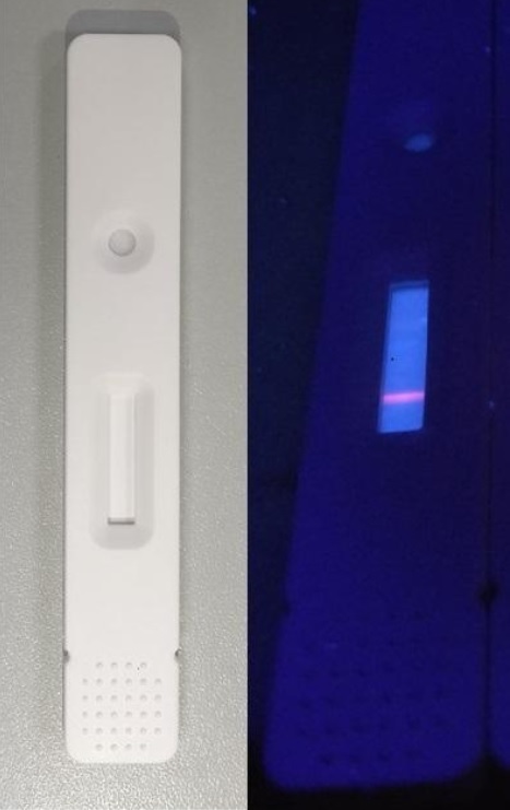De très nombreuses pistes de tests sérologiques sont actuellement poursuivies, avec l’objectif non seulement de permettre à chacun de connaître son statut immunologique face au COVID-19, mais aussi d’avoir une idée plus précise de l’immunisation globale De très nombreuses pistes de tests sérologiques sont actuellement poursuivies, avec l’objectif non seulement de permettre à chacun de connaître son statut immunologique face au COVID-19, mais aussi d’avoir une idée plus précise de l’immunisation globale