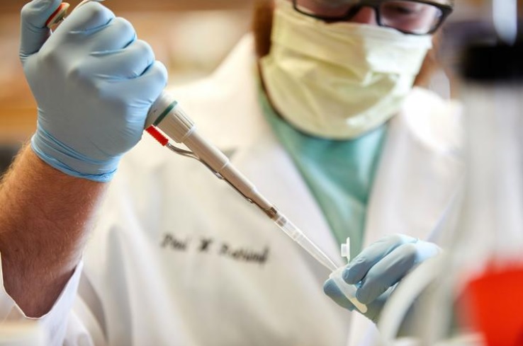 La température est un facteur clé pour la réplication du virus (Visuel Fotolia) La température est un facteur clé pour la réplication du virus (Visuel Fotolia)