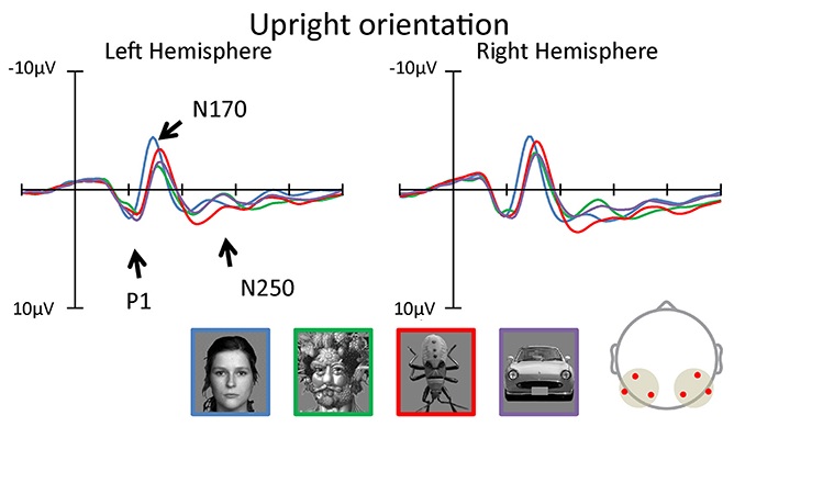 Cette ressemblance d’un objet avec un visage est un type de paréidolie ou phénomène de perception d'un objet intrinsèquement insignifiant tel qu'un motif, un paysage ou un objet comme un autre objet ayant un sens.