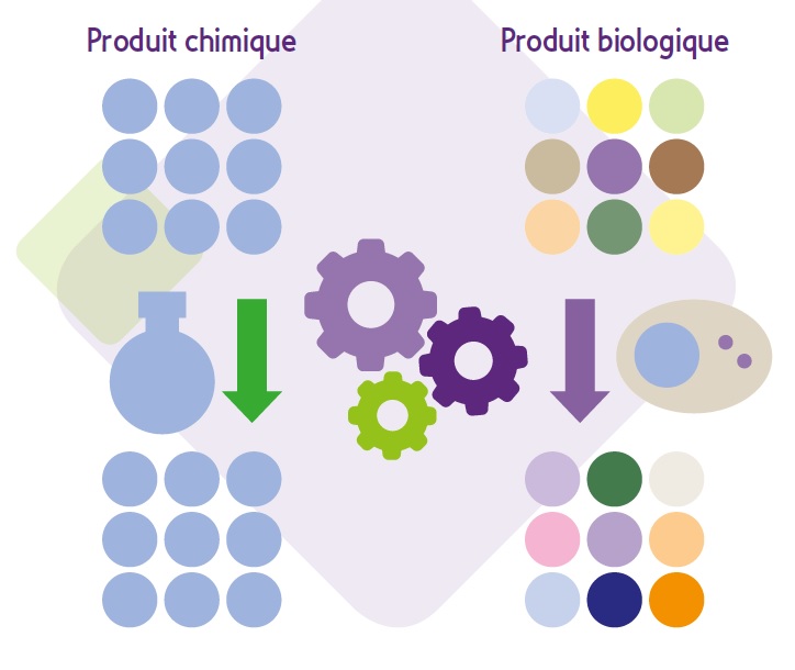 Les médicaments chimiques diffèrent des médicaments biologiques car produits par synthèse chimique, ils sont constitués d’une population moléculaire homogène et reproductible du même principe actif (Source ANSM)