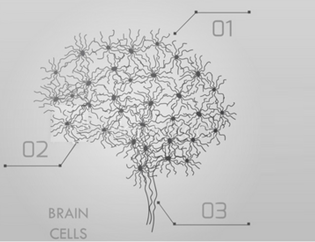 Cette approche globale de l’ensemble des connexions du cerveau permet non seulement de comprendre comment fonctionnent des systèmes spécifiques (ex : système visuel, système moteur…), mais aussi comment fonctionnent des systèmes cognitifs Cette approche globale de l’ensemble des connexions du cerveau permet non seulement de comprendre comment fonctionnent des systèmes spécifiques (ex : système visuel, système moteur…), mais aussi comment fonctionnent des systèmes cognitifs