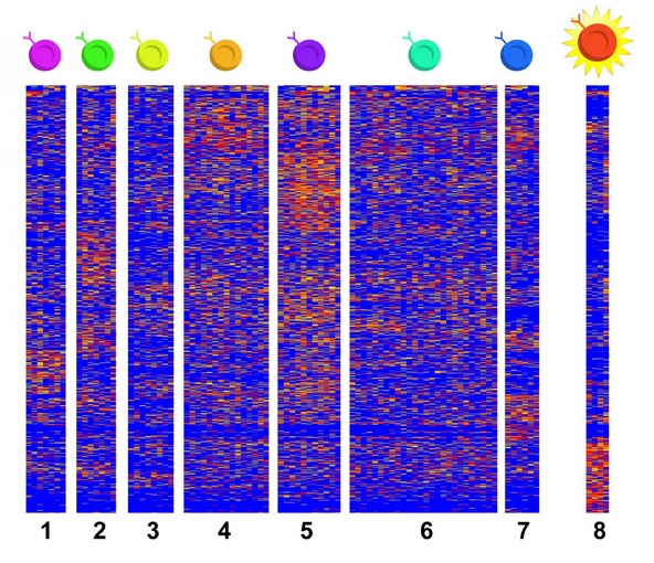 Il s'agit de la première étude à utiliser le séquençage d'ARN monocellulaire pour recueillir des données de cellules se cachant dans des tissus affectés par l'EoE. 