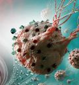 Cet adénovirus reconnait et, grâce à des molécules qui agissent comme des adaptateurs entre le virus et la cellule tumorale, est capable d’infecter efficacement la tumeur. 