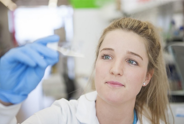 L’auteur principal, le Dr Ciara Duffy souhaitait se concentrer sur les propriétés anticancéreuses d’un composant spécifique du venin d'abeille, la mélittine, sur différents types de cellules cancéreuses du sein (Visuel Harry Perkins Institute of Medical Research).