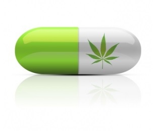 Quel lien entre la légalisation et une utilisation plus large du cannabis médical et l’évolution du nombre de décès liés aux opioïdes ? 