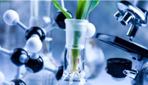 L'analyse des séquences génétiques de 9 souches de cannabis vient de permettre de découvrir des réseaux de gènes distincts orchestrant la production de résines de cannabinoïdes et de terpènes pour chaque souche, ainsi que les composés volatils qui font le puissant arôme de la plante. L'analyse des séquences génétiques de 9 souches de cannabis vient de permettre de découvrir des réseaux de gènes distincts orchestrant la production de résines de cannabinoïdes et de terpènes pour chaque souche, ainsi que les composés volatils qui font le puissant arôme de la plante.