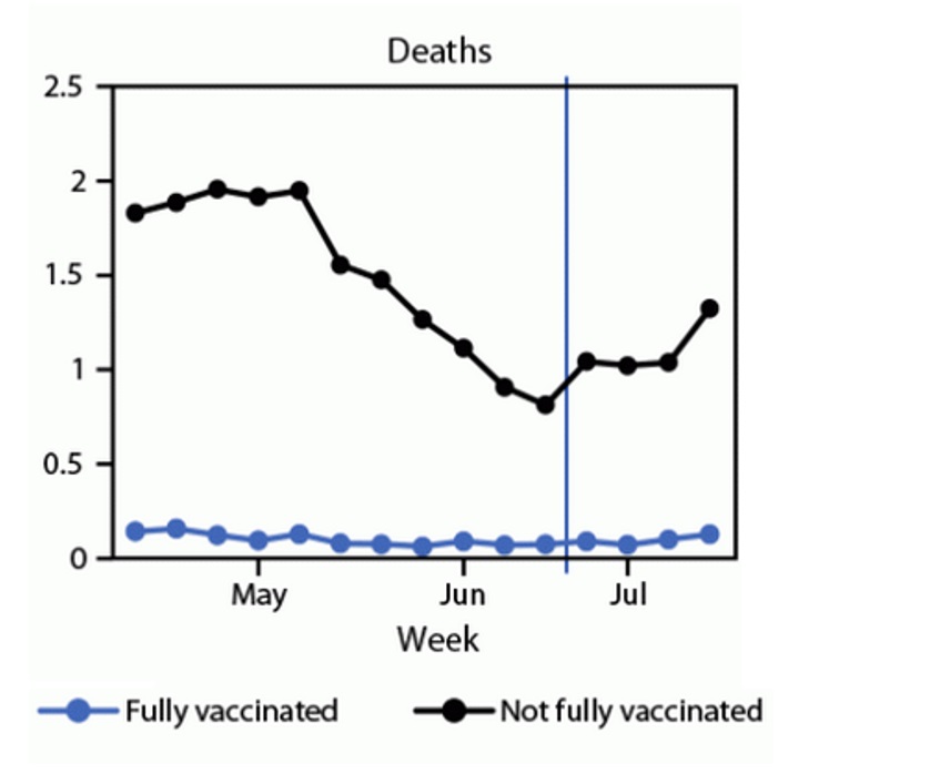 L'étude suggère une baisse possible de la protection vaccinale contre l'infection confirmée par le SRAS-CoV-2 mais une protection toujours solide contre les formes sévères de COVID-19 (et donc le risque d’hospitalisation et décès associés) (Visuel MMWR). 