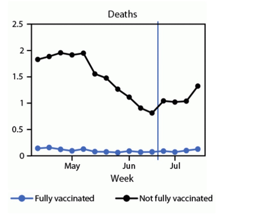 L'étude suggère une baisse possible de la protection vaccinale contre l'infection confirmée par le SRAS-CoV-2 mais une protection toujours solide contre les formes sévères de COVID-19 (et donc le risque d’hospitalisation et décès associés) (Visuel MMWR) L'étude suggère une baisse possible de la protection vaccinale contre l'infection confirmée par le SRAS-CoV-2 mais une protection toujours solide contre les formes sévères de COVID-19 (et donc le risque d’hospitalisation et décès associés) (Visuel MMWR).