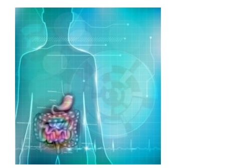 Une technique qui utilise des cellules autologues modifiées pour traiter la maladie de Crohn se révèle ici efficace avec cette recherche menée in vitro Une technique qui utilise des cellules autologues modifiées pour traiter la maladie de Crohn se révèle ici efficace avec cette recherche menée in vitro