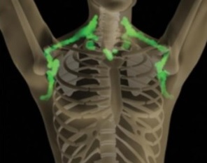 100 façons dont temps de detection des steroide peut vous rendre invincible