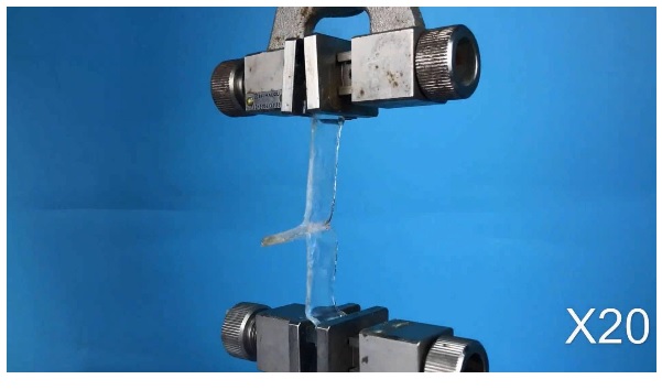 2 hydrogels, collés avec une solution aqueuse de chaînes polymères, se séparent facilement en présence de rayons ultraviolets 2 hydrogels, collés avec une solution aqueuse de chaînes polymères, se séparent facilement en présence de rayons ultraviolets
