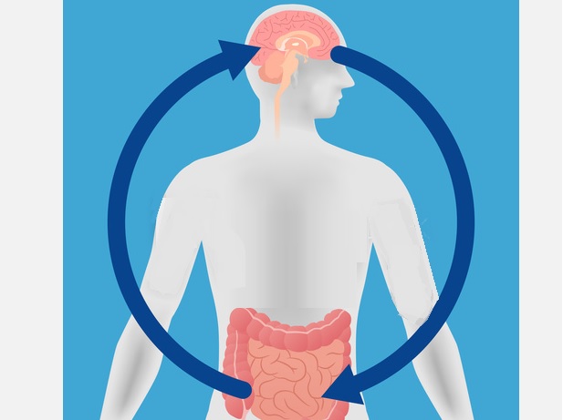 Un lien intestin-cerveau jusque-là inconnu contribue à expliquer comment des portions supplémentaires conduisent à une prise de poids. Un lien intestin-cerveau jusque-là inconnu contribue à expliquer comment des portions supplémentaires conduisent à une prise de poids.