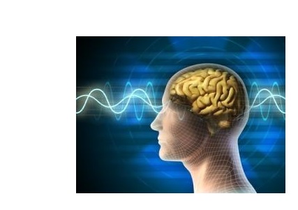 Les personnes atteintes de schizophrénie ont des hippocampes « hyperactifs », qui favorisent ces symptômes intrusifs d’hallucinations. 