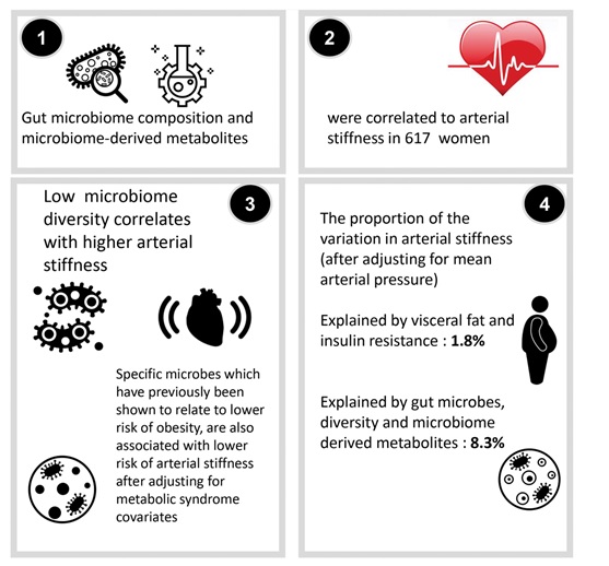Il existe une corrélation significative entre la diversité du microbiome intestinal et la santé des artères Il existe une corrélation significative entre la diversité du microbiome intestinal et la santé des artères