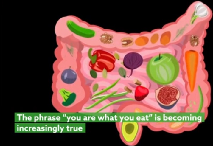 Une molécule couramment produite par les microbes intestinaux semble améliorer la mémoire