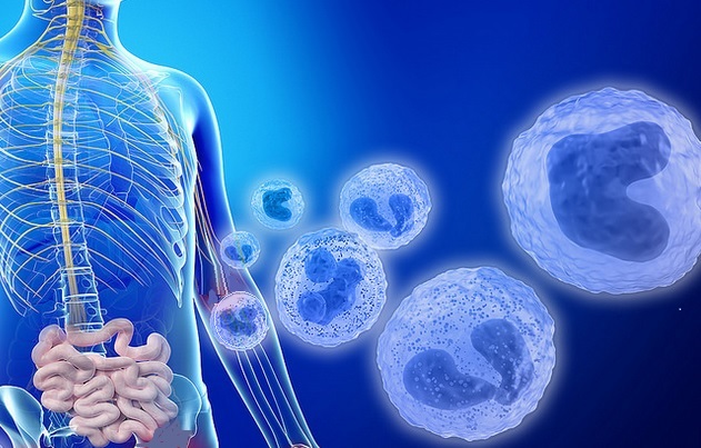 Le microbiome intestinal oriente le système immunitaire contre le cancer