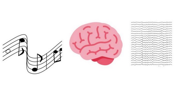 Pour certaines personnes, la musique est « spéciale » et « ça se lit » dans leur réponse neurale.