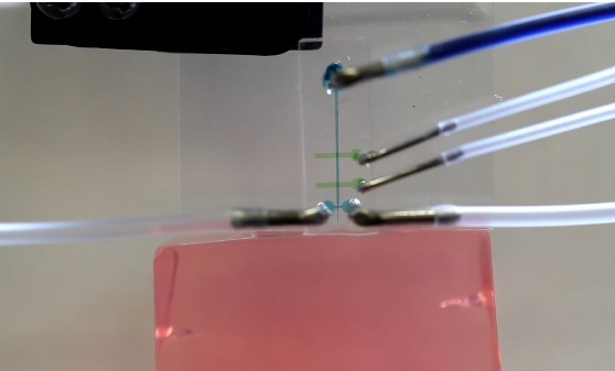 La technique permettra d'améliorer les thérapies qui reposent sur des électrodes pour détecter les signaux neuronaux et/ou déclencher des stimulations chez les patients souffrant d'épilepsie et d'autres conditions. La technique permettra d'améliorer les thérapies qui reposent sur des électrodes pour détecter les signaux neuronaux et/ou déclencher des stimulations chez les patients souffrant d'épilepsie et d'autres conditions.
