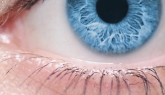 Modifier les cellules neuves de telle manière à ce qu’elles échappent au rejet du système immunitaire Modifier les cellules neuves de telle manière à ce qu’elles échappent au rejet du système immunitaire