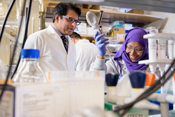 L’équipe du biologiste Salil Lachke (Visuel) montre qu’une protéine, en particulier, Celf1 est essentielle à ce processus L’équipe du biologiste Salil Lachke (Visuel) montre qu’une protéine, en particulier, Celf1 est essentielle à ce processus