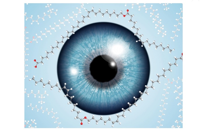 Un acide gras à très longue chaîne est essentiel pour préserver la couche lipidique du film lacrymal optiquement transparente Un acide gras à très longue chaîne est essentiel pour préserver la couche lipidique du film lacrymal optiquement transparente