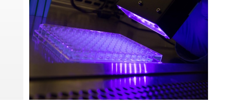 La thérapie photodynamique implique un composé photosensibilisateur qui peut être activé par la lumière visible pour tuer les cellules malades ou les bactéries. La thérapie photodynamique implique un composé photosensibilisateur qui peut être activé par la lumière visible pour tuer les cellules malades ou les bactéries.