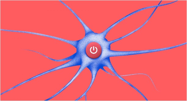 Des médicaments déjà approuvés, à repositionner, auraient en effet la capacité de cibler de nouvelles protéines clés identifiées et donc le potentiel de ralentir ou d'inverser les lésions caractéristiques de la maladie (Visuel Fotolia) Des médicaments déjà approuvés, à repositionner, auraient en effet la capacité de cibler de nouvelles protéines clés identifiées et donc le potentiel de ralentir ou d'inverser les lésions caractéristiques de la maladie (Visuel Fotolia)