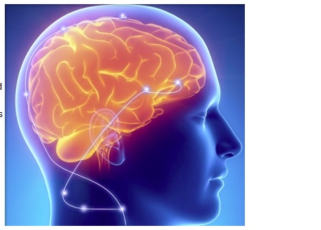 Une stimulation électrique de faible intensité dans une zone spécifique du cerveau peut améliorer la mémoire verbale à court terme