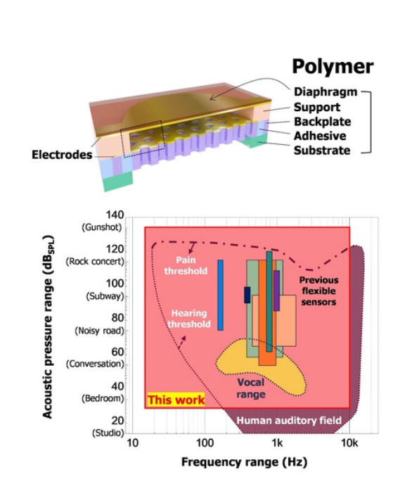 Le nouveau capteur utilise des matériaux polymères plus flexibles et peut être fixé sur de grandes surfaces du corps ou même sur le doigt. (Visuel POSTECH) Le nouveau capteur utilise des matériaux polymères plus flexibles et peut être fixé sur de grandes surfaces du corps ou même sur le doigt. (Visuel POSTECH)