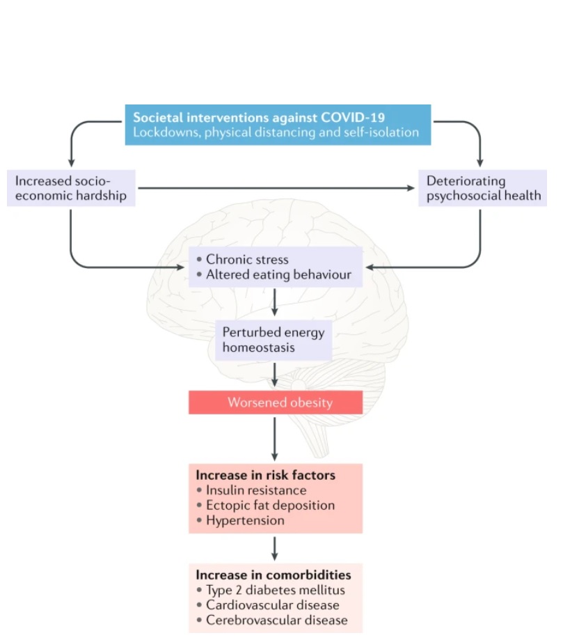 Visuel Nature Reviews Endocrinology