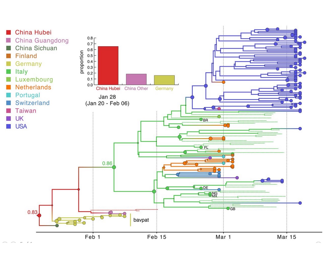 L’objectif de ces scientifiques était d’exploiter les dernières technologies, génomique, phylogénétique et analyse statistique des données des voyages, pour mener une analyse définitive de la façon dont la pandémie s'est déroulée dans l'espace et le temps, à travers le monde (.Visuel Andrew Rambaut / Université d'Édimbourg et Jeffrey Joy / Université de la Colombie-Britannique) L’objectif de ces scientifiques était d’exploiter les dernières technologies, génomique, phylogénétique et analyse statistique des données des voyages, pour mener une analyse définitive de la façon dont la pandémie s'est déroulée dans l'espace et le temps, à travers le monde (.Visuel Andrew Rambaut / Université d'Édimbourg et Jeffrey Joy / Université de la Colombie-Britannique)