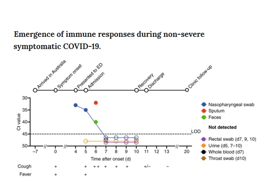 Evolution de la maladie et de la réponse immunitaire au SARS-CoV-2