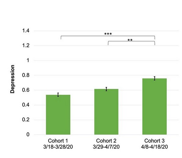 Les symptômes dépressifs ont également augmenté avec le temps, la cohorte 3 rapportant significativement plus de symptômes dépressifs que les cohortes 1 ou 2 Les symptômes dépressifs ont également augmenté avec le temps, la cohorte 3 rapportant significativement plus de symptômes dépressifs que les cohortes 1 ou 2