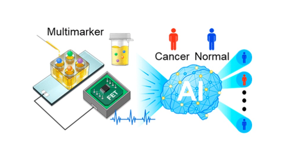 Visuel ACS Nano