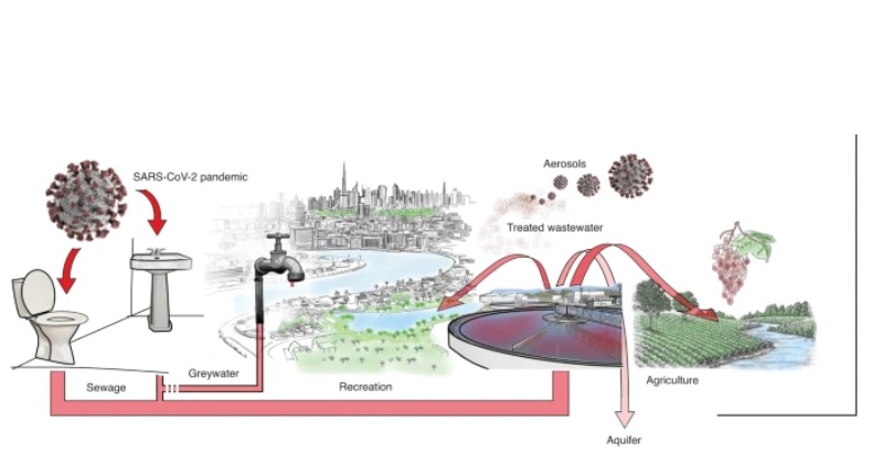 Visuel Nature Sustainability Visuel Nature Sustainability