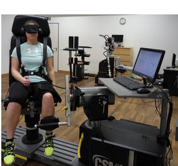 Le dynamomètre informatisé (Cybex, division of Lumex, Inc., Ron- konkoma, New York, USA) utilisé à la fois pour l’acquisition de données et l’entrainement (Visuel János Négyesi). Le dynamomètre informatisé (Cybex, division of Lumex, Inc., Ron- konkoma, New York, USA) utilisé à la fois pour l’acquisition de données et l’entrainement (Visuel János Négyesi).