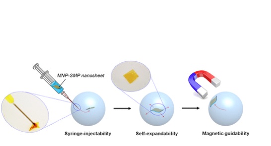 Les nanofeuilles peuvent être adaptées à la délivrance de médicaments et au diagnostic Les nanofeuilles peuvent être adaptées à la délivrance de médicaments et au diagnostic