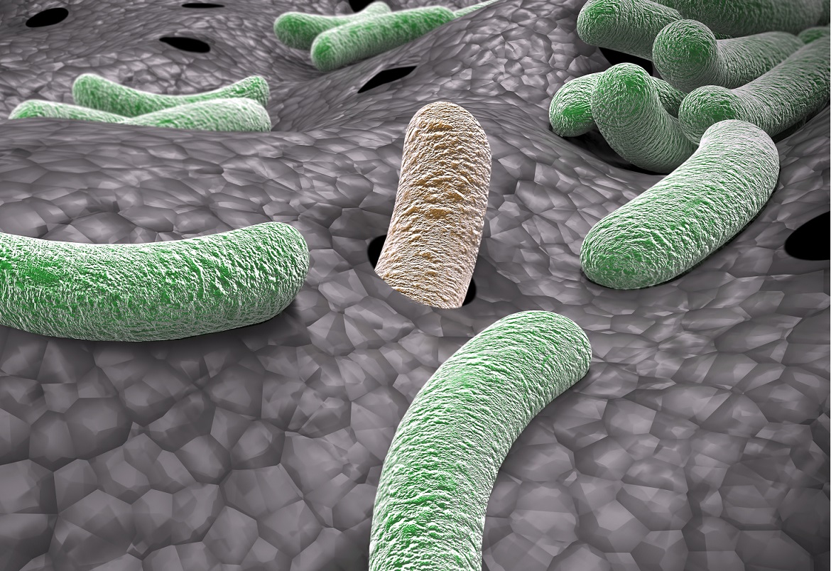 Un microbiote des voies respiratoires dominé par les genres Corynebacterium + Dolosigranulum est associé à des résultats cliniques favorables par rapport à un microbiote dominé par des bactéries plus pathogènes de types Staphylococcus, Streptococcus et Moraxella