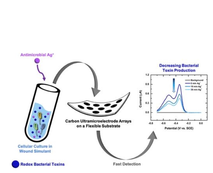 (Visuel Olja Simoska et al/ACS sensors) (Visuel Olja Simoska et al/ACS sensors)