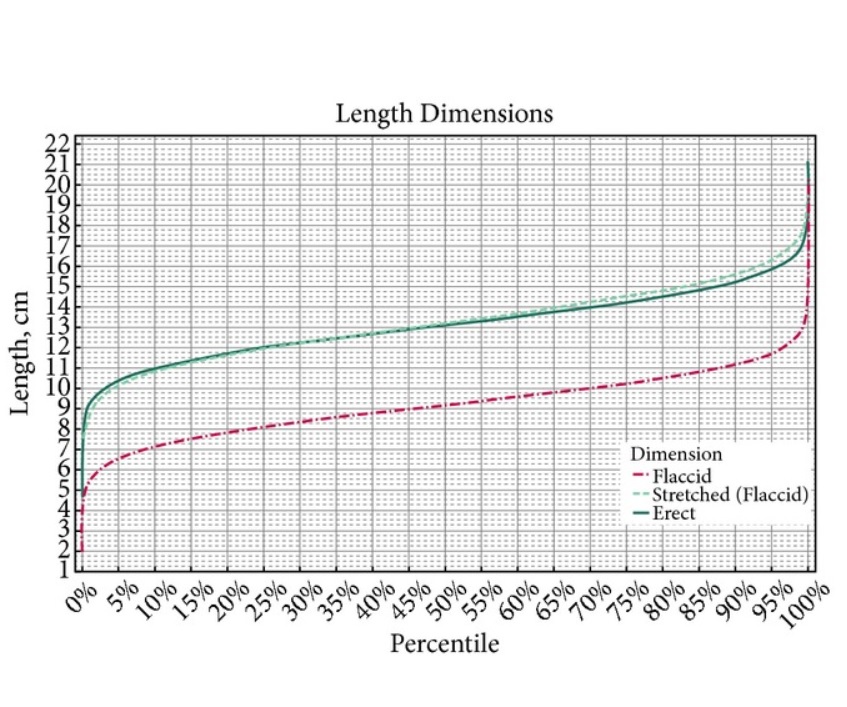 Cette méta-analyse (5) estime la taille moyenne d’un pénis en érection à 13,12 cm Cette méta-analyse (5) estime la taille moyenne d’un pénis en érection à 13,12 cm