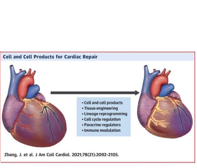 Visuel Journal of the American College of Cardiology