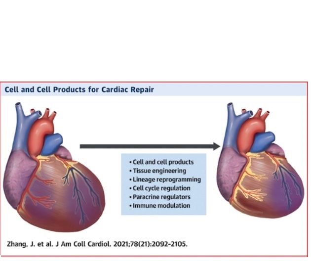 Visuel Journal of the American College of Cardiology Visuel Journal of the American College of Cardiology