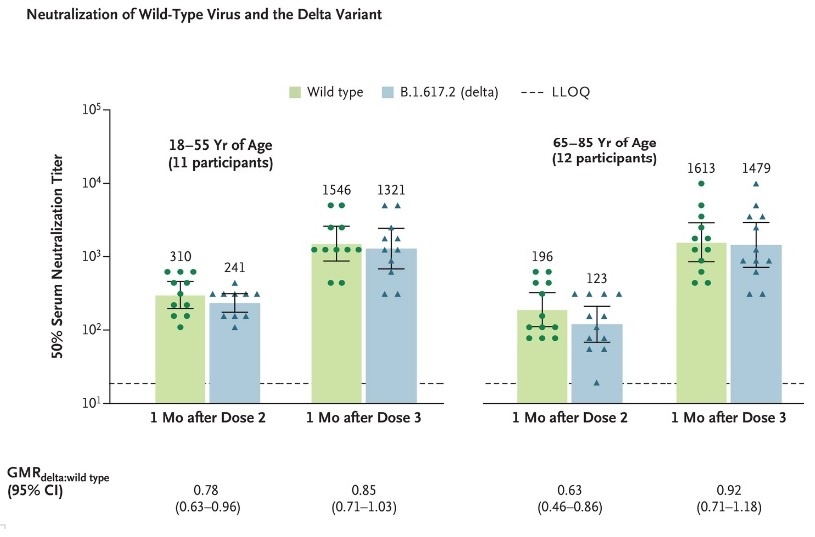 Le niveau de protection 1 mois après la 3è dose est estimé à 85% contre le variant delta  (comme la souche d’origine) chez les jeunes adultes et de 92% chez les adultes plus âgés (Visuel NEJM).