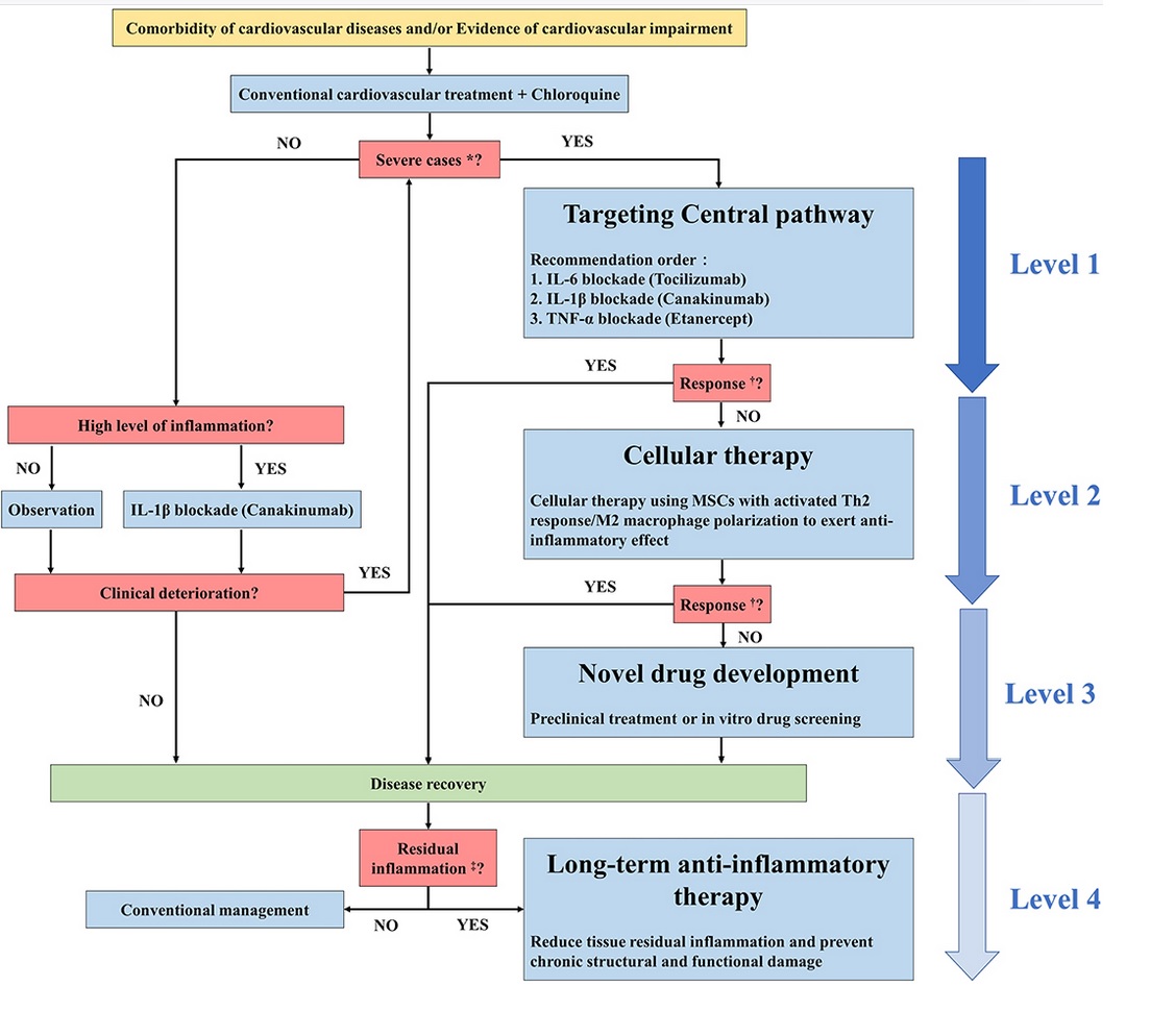 Une sélection de thérapies anti-inflammatoires cardiovasculaires spécifiques pour les patients COVID-19, en fonction de la gravité de la maladie 