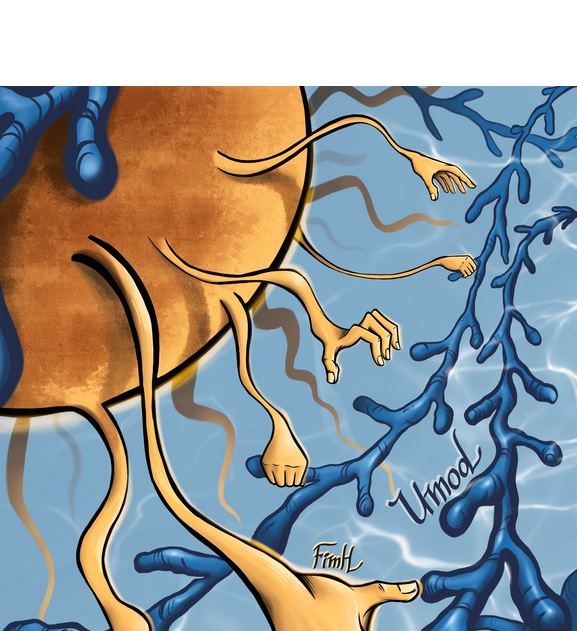Les pili des bactéries reconnaissent certaines chaînes de sucre (Visuel Gregor Weiss / ETH Zurich) Les pili des bactéries reconnaissent certaines chaînes de sucre (Visuel Gregor Weiss / ETH Zurich) à la surface de l'uromoduline et s'y lient extrêmement facilement et fortement